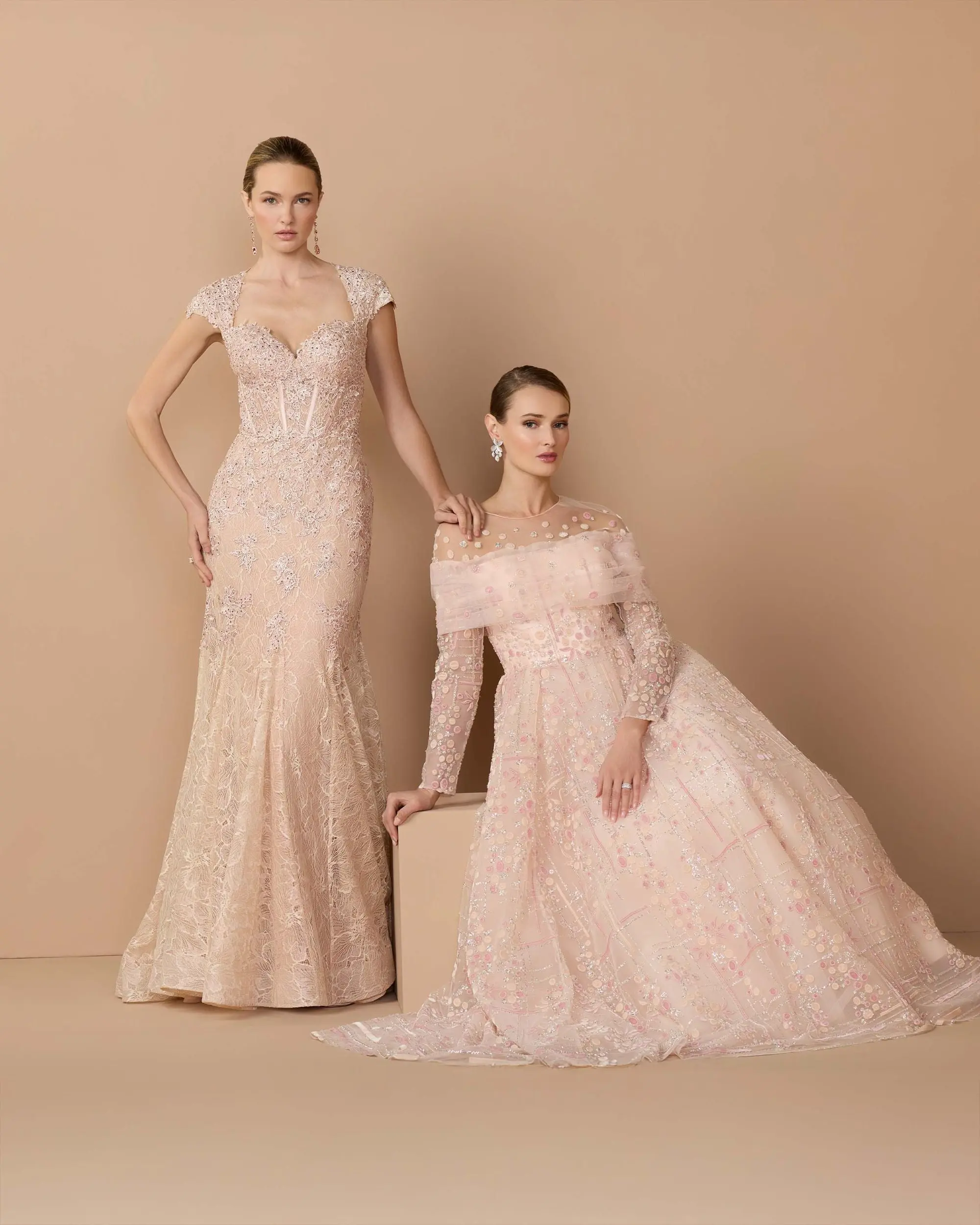 Pink Embroidered Lace Mermaid Gown With Cap Sleeves - Special Events Unlimited